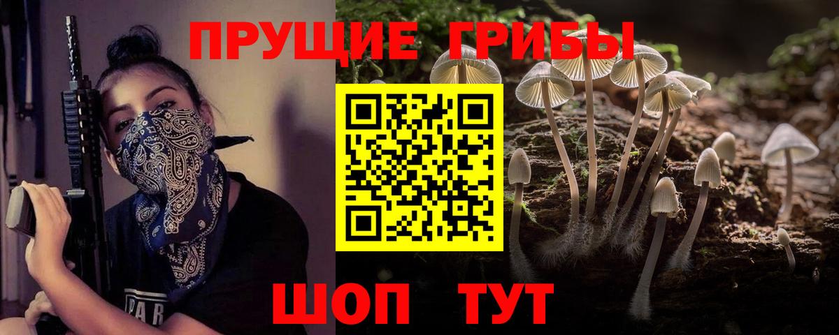 Галлюциногенные грибы мицелий Крымск