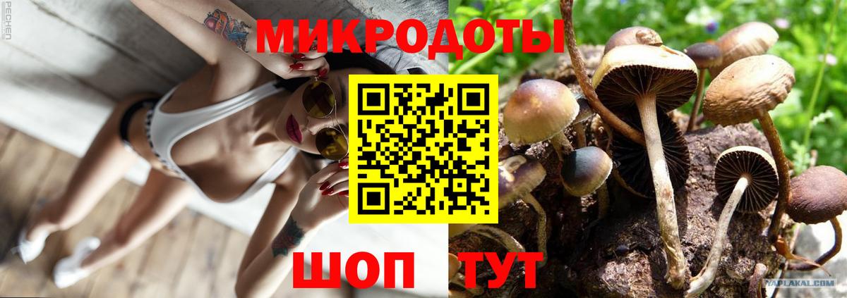 Крымск  Псилоцибиновые грибы мицелий  Вход с VPN 